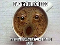 MYA-Memes_2017 (1)
